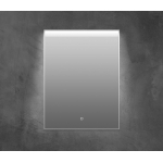 Зеркало с подсветкой BELBAGNO SPC-UNO-600-800-TCH Зеркало с подсветкой BELBAGNO SPC-UNO-600-800-TCH. Фото